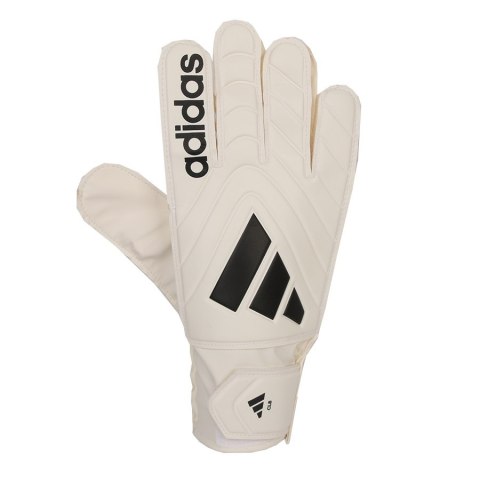 Rękawice adidas Copa GL CLB IQ4016 beżowy 8,5 Adidas