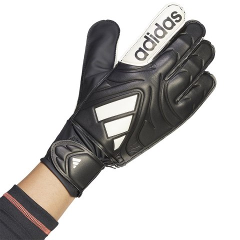 Rękawice adidas Copa GL Club JY0625 czarny 9,5 Adidas