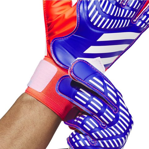 Rękawice adidas Predator GL TRN IX3870 niebieski 8,5 Adidas Rękawice adidas Predator GL TRN IX3870 niebieski 8,5 Adidas