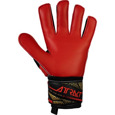 Rękawice Reusch Attrakt Solid 55 55 70 515 7075 czarny 7,5 Reusch Rękawice Reusch Attrakt Solid 55 55 70 515 7075 czarny 7,5 Reusch