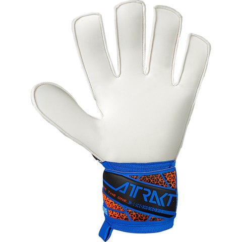 Rękawice Reusch Attrakt Solid 55 70 515 4467 niebieski 10,5 Reusch Rękawice Reusch Attrakt Solid 55 70 515 4467 niebieski 10,5 Reusch