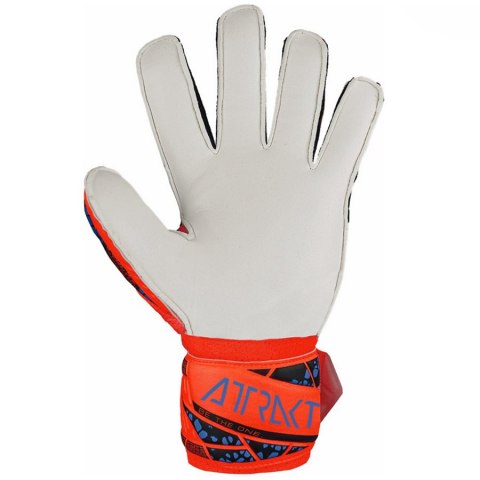 Rękawice Reusch Attrakt Solid Finger Support Junior 54 72 510 2210 pomarańczowy 7,5 Reusch Rękawice Reusch Attrakt Solid Finger Support Junior 54 72 510 2210 pomarańczowy 7,5 Reusch