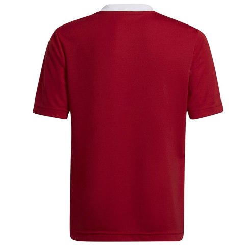 Koszulka adidas ENTRADA 22 JSY Y H57496 czerwony 176 cm Adidas