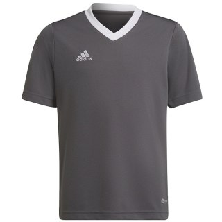 Koszulka adidas ENTRADA 22 JSY Y H57499 szary 128 cm Adidas