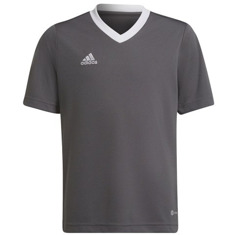 Koszulka adidas ENTRADA 22 JSY Y H57499 szary 176 cm Adidas