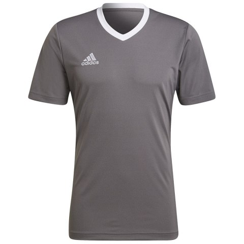 Koszulka adidas ENTRADA 22 JSY Y HE1574 szary XXL Adidas