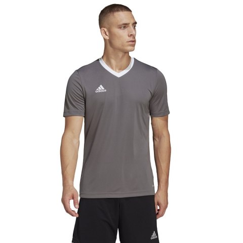 Koszulka adidas ENTRADA 22 JSY Y HE1574 szary S Adidas
