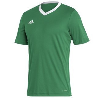 Koszulka adidas ENTRADA 22 JSY Y HI2123 zielony XL Adidas