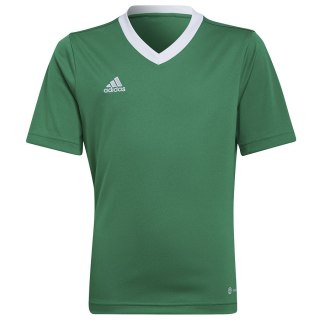 Koszulka adidas ENTRADA 22 JSY Y HI2126 zielony 164 cm Adidas