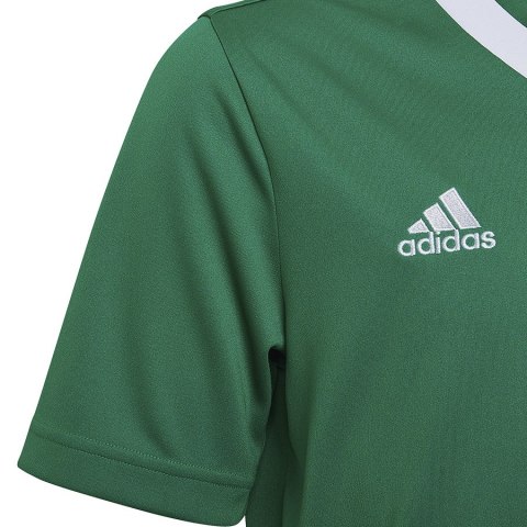 Koszulka adidas ENTRADA 22 JSY Y HI2126 zielony 164 cm Adidas Koszulka adidas ENTRADA 22 JSY Y HI2126 zielony 164 cm Adidas