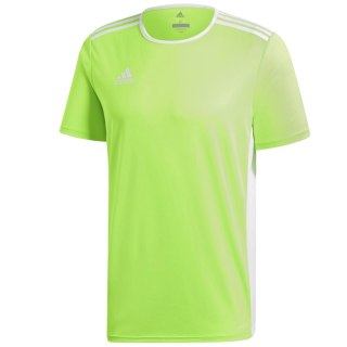 Koszulka adidas Entrada 18 JSY CE9758 zielony 128 cm Adidas