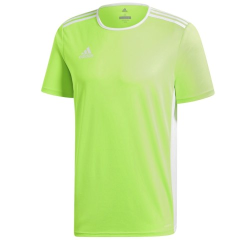Koszulka adidas Entrada 18 JSY CE9758 zielony 128 cm Adidas