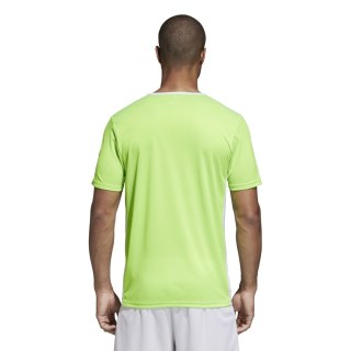 Koszulka adidas Entrada 18 JSY CE9758 zielony 128 cm Adidas