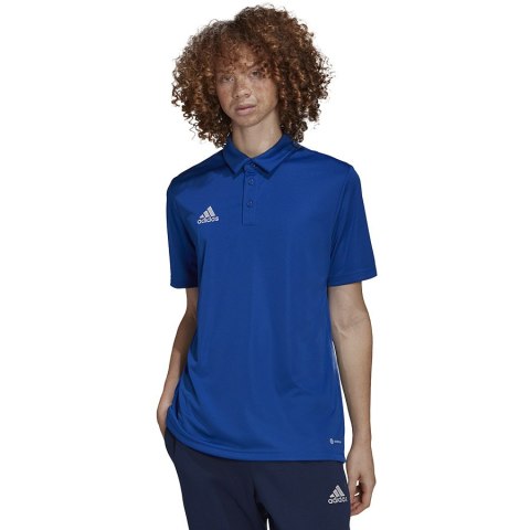 Koszulka adidas Polo ENTRADA 22 HG6285 niebieski S Adidas