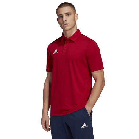 Koszulka adidas Polo ENTRADA 22 Polo H57489 czerwony XL Adidas