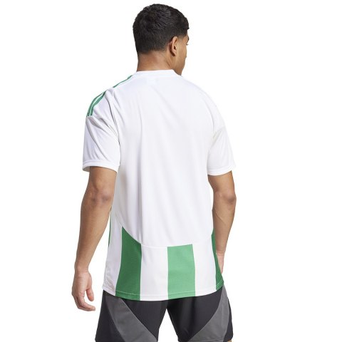Koszulka adidas STRIPED 24 JSY IW2148 biały S Adidas