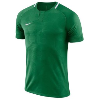 Koszulka Nike Y NK Dry Chalang II JSY SS 894053 341 zielony XL (158-170cm) Nike