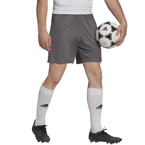 Spodenki adidas ENTRADA 22 Short H57505 szary L Adidas