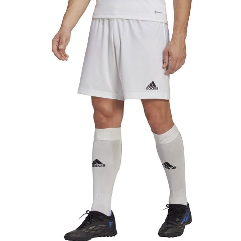 Spodenki adidas ENTRADA 22 Short HG6295 biały XL Adidas