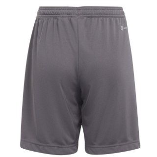 Spodenki adidas ENTRADA 22 Short Y H57507 szary 140 cm Adidas