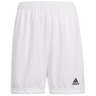 Spodenki adidas ENTRADA 22 Short Y HG6292 biały 176 cm Adidas