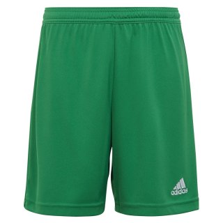 Spodenki adidas ENTRADA 22 Short Y IC7410 zielony 116 cm Adidas