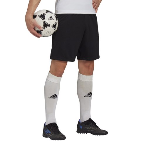 Spodenki adidas ENTRADA 22 Training Short HB0575 czarny XL Adidas