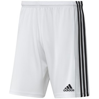 Spodenki adidas SQUADRA 21 Short GN5773 biały M Adidas