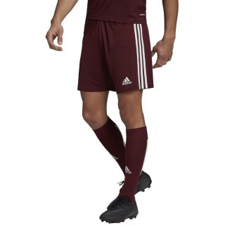Spodenki adidas SQUADRA 21 Short GN8083 czerwony S Adidas