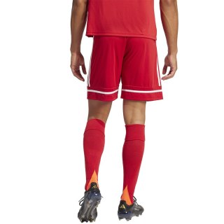 Spodenki adidas SQUADRA 25 Short JN5466 czerwony XL Adidas