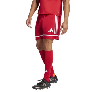 Spodenki adidas SQUADRA 25 Short JN5466 czerwony L Adidas