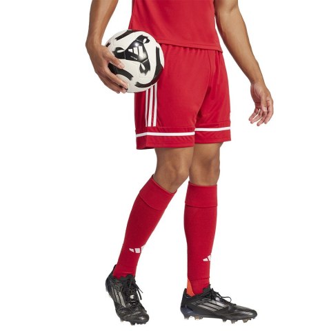 Spodenki adidas SQUADRA 25 Short JN5466 czerwony M Adidas Spodenki adidas SQUADRA 25 Short JN5466 czerwony M Adidas