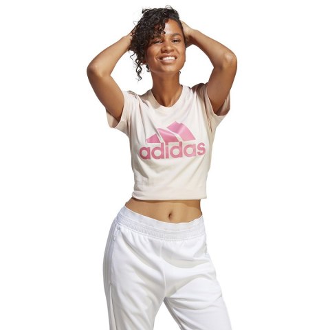 Koszulka adidas Big Logo Tee IB9455 beżowy S Adidas Koszulka adidas Big Logo Tee IB9455 beżowy S Adidas