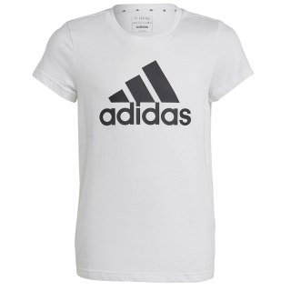 Koszulka adidas Big Logo Tee girls Jr IC6121 biały 152 cm Adidas
