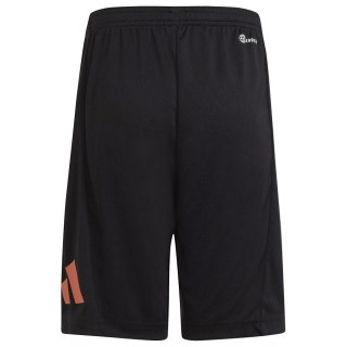 Spodenki adidas TR-ES Logo Shorts IC5658 czarny 164 cm Adidas