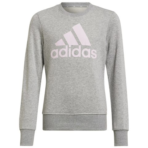 Bluza adidas Big Logo SWT HM8706 szary 134 cm Adidas