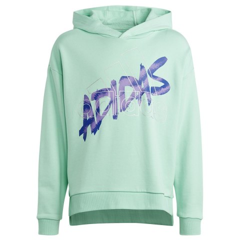 Bluza adidas D Hoody Jr HR5825 zielony 176 cm Adidas