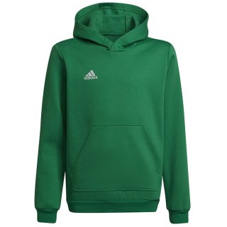 Bluza adidas ENTRADA 22 Hoody Y HI2143 zielony 128 cm Adidas