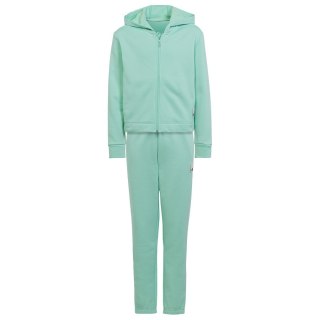 Dres adidas Cotton Hoodie TS girls Jr HR5840 zielony 152 cm Adidas
