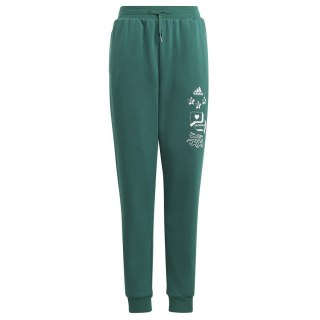Spodnie adidas BLUV Q3 Pant Jr IA1553 zielony 176 cm Adidas
