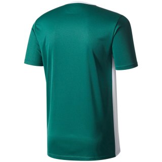 Koszulka dla dzieci adidas Entrada 18 Jersey JUNIOR zielona CE9563 Adidas teamwear
