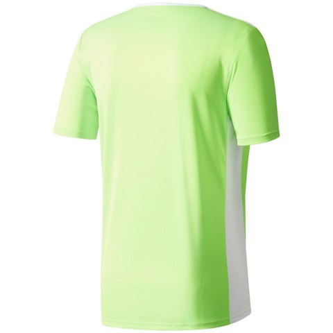 Koszulka męska adidas Entrada 18 Jersey limonkowa CE9758 Adidas teamwear