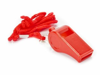 GWIZDEK SĘDZIOWSKI TRENERSKI PLASTIKOWY