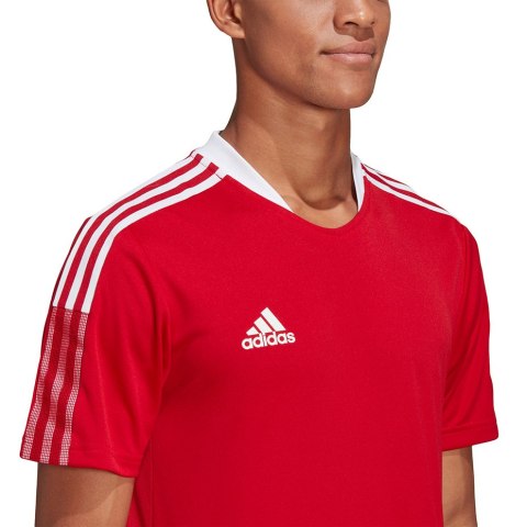 Koszulka męska adidas Tiro 21 Training Jersey czerwona GM7588 Adidas teamwear