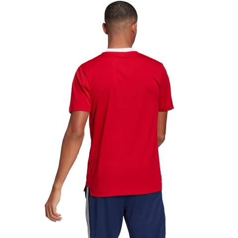 Koszulka męska adidas Tiro 21 Training Jersey czerwona GM7588 Adidas teamwear