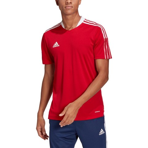 Koszulka męska adidas Tiro 21 Training Jersey czerwona GM7588 Adidas teamwear