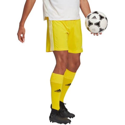 Spodenki męskie adidas Squadra 21 Short żółte GN5772 Adidas teamwear