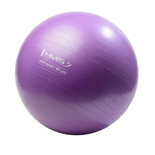 YB02 NEW 65CM PURPLE ANTI-BURST PIŁKA GIMNASTYCZNA HMS HMS