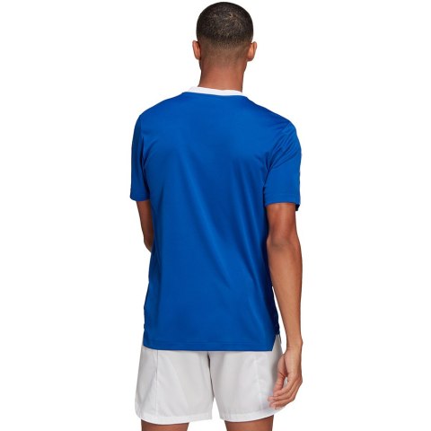 Koszulka męska adidas Tiro 21 Training Jersey niebieska GM7589 Adidas teamwear