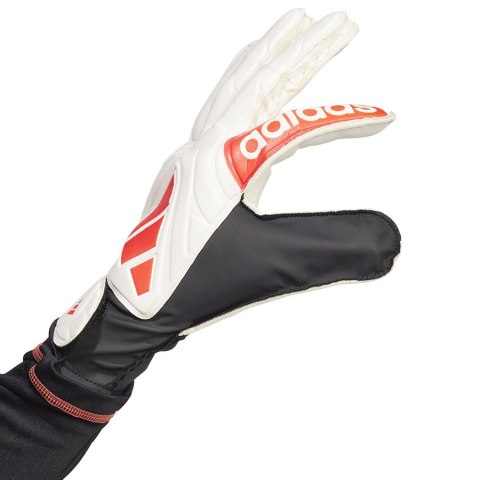 Rękawice adidas Copa GL Club JH3789 biały 11 Adidas